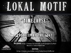 Picture for song 'TimeLapse Feat. Ben Fox' by artist 'LOkal Motif'