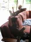 Picture for song 'Breezy & Easy' by artist 'Longshots'