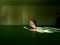 Picture for song 'at rest-theatrical version' by artist 'Lounge Inc'