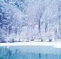 Picture for song 'Winterscape' by artist 'love1008'