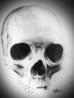 Picture for song 'Strait Chillin *New*' by artist 'L R 2 1 O'