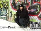 Picture for song '14-Talk Of The Town' by artist 'Luv Punk'