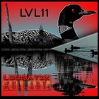 Picture for song 'lvl11_s_loonaticlullaby' by artist 'LVL11'