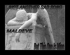 Picture for song 'Just Another Sad Song But This One Is Mine' by artist 'Maldeve'