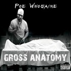 Picture for song 'Poe Whosaine - Gross Anatomy' by artist 'MannchYld Music'