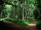 Picture for song 'Pathway' by artist 'Marc Halikas'