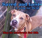 Picture for song 'Saved and Lost' by artist 'Maria Daines'