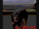 Picture for song 'Dog Daze' by artist 'Me And Mystercee'