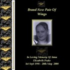 Picture for song 'Daddys Cry' by artist 'Memories Of The Heart'