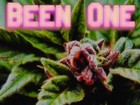 Song picture