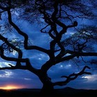 Picture for song 'Melancholy Morning' by artist 'Michael Bennett'
