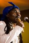 Picture for song 'Adjab' by artist 'Minomoh'