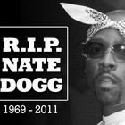 Picture for song 'R.I.P Nate Dog' by artist 'MOEDOEPRODUCTIONS'