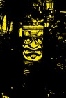 Picture for song 'Coral Riff' by artist 'Monsoon Cortex'