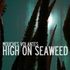 Picture for song 'High on seaweed' by artist 'mouches volantes'