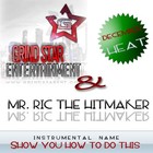 Picture for song '* FREE DL* Show You How We Do It' by artist 'Mr.Ric'