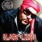 Picture for song 'Fiesta - Black Lion (V.I.P.RECORDS STUDIOS)' by artist 'Multimedia'