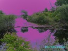 Picture for song 'Double-Crossed - Live.MP3' by artist 'MyBandxDoubleCrossx'