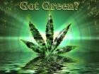 Picture for song 'SWISHA SMOKIN slowed & chopped' by artist 'NASTY-BLUNT'