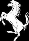 Picture for song 'Turk & Stunstabar - White Horse' by artist 'Natural Born Assholes'