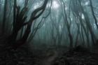 Picture for song 'Loneliest Night (Free Download!)' by artist 'NC2G'