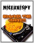 Picture for song 'Nice Krispy - Discover the Groove' by artist 'NiceKrispy'