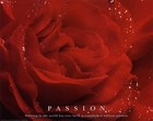 Picture for song 'Passion' by artist 'nicNyce'
