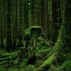 Picture for song 'Cartel.mp3' by artist 'Night Park'