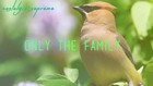 Picture for song 'Only the family (Prod. by Nostalgia Supreme)' by artist 'Nostalgia Supreme'