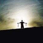 Picture for song 'Seal (free download)' by artist 'Not HollyWood Production'