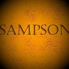 Picture for song 'Sampson (sing, modified lyrics)' by artist 'Numi Who Creative Covers'