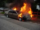 Picture for song '**NU-NU beastmode**- The Day I died' by artist 'Nu-Nu beastmode'