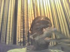 cover pic
