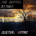 Picture for song 'Diamond Darkness' by artist 'Ouster'