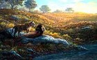 Picture for song 'Savanna' by artist 'Painted Water'