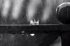 Picture for song 'H NYXTA SHMERA (2012)' by artist 'panamitsis and friends'