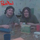 Picture for song 'It's a Fib' by artist 'ParkMaul'