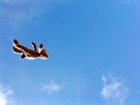 Picture for song 'Take Flight *Boom Bap 90's Hip-Hop* *SOLD*' by artist 'Pestrator Productions'