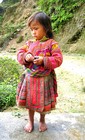 Picture for song 'Dear mama - JG Kid' by artist 'Phuong LTA'