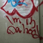 Picture for song 'u gatta show me somin _ext_' by artist 'Pierre McLemore'