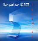 Picture for song 'Now you know 2012 lenburke' by artist 'Plaza7'