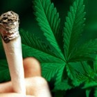 Picture for song 'Kushed Up (Gucci Type)' by artist 'PrimoMuzik'