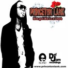 Picture for song 'Princeton Lank-She Got Me In A daze' by artist 'Princeton Lank'