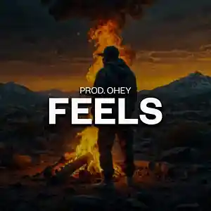 Picture for song 'FEELS (BUY 2 GET 1 FREE) LIL BABY TYPE BEAT' by artist 'prod.ohey'