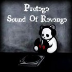 Picture for song 'Sound Of Revenge' by artist 'Protege (Rebel Flag)'