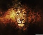 Picture for song 'Animal' by artist 'Pyrotecknics'