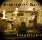 Picture for song 'Outside of These Walls' by artist 'Radical Grace Band'