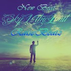 Picture for song 'Sky Is The Limit (FREE D/L)' by artist 'RaiseBeatz'