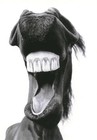 Picture for song 'Watch ya mouth' by artist 'Rap Camp'
