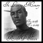 Picture for song 'Raw Beezy ft. tz,lil keith_-_survivie' by artist 'Raw Beezy'